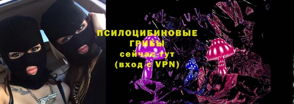 дурь Бородино