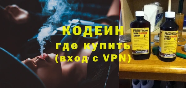 дурь Бородино