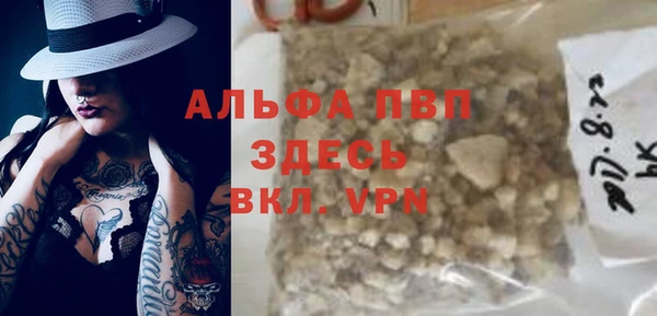 дурь Бородино
