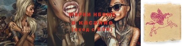 дурь Бородино