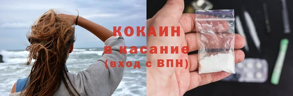 дурь Бородино