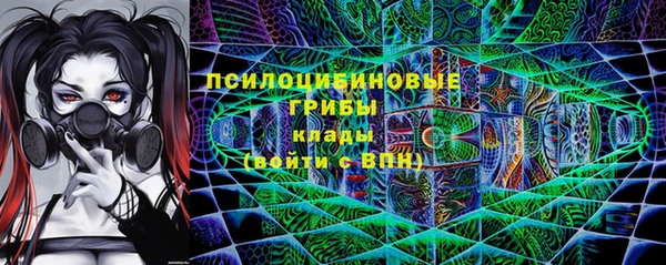 мдпв Бронницы