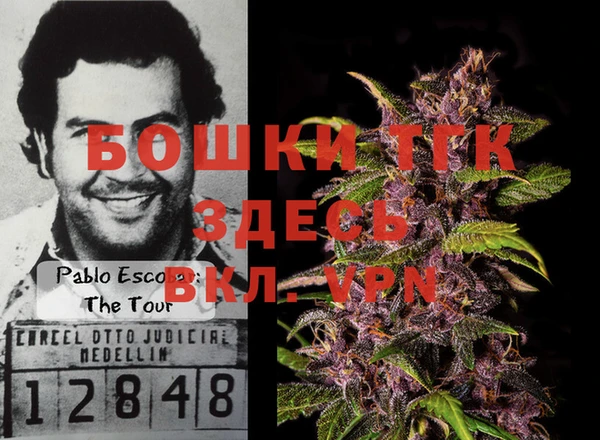 гидра Бугульма