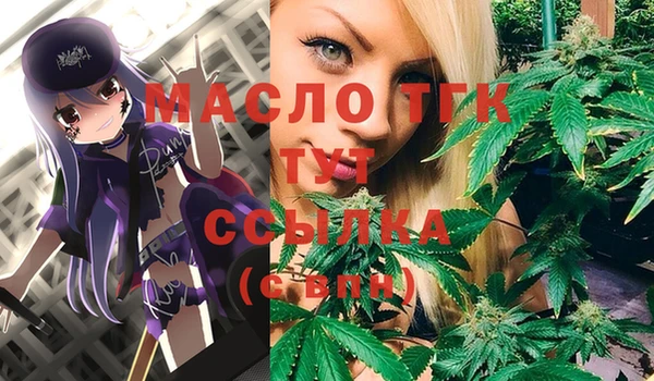 мдпв Бронницы
