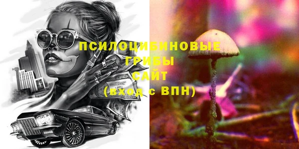 дурь Бородино