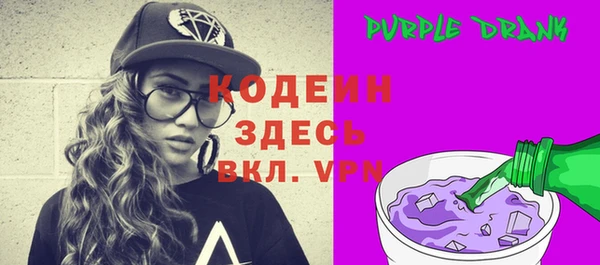 дурь Бородино