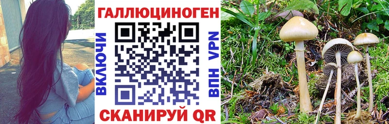 Псилоцибиновые грибы Cubensis  MEGA как войти  Можайск 